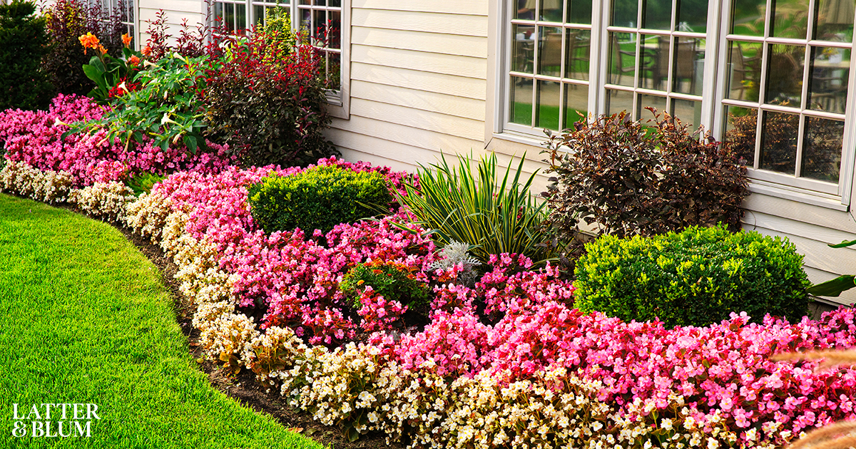 Summer Landscaping Ideas for Your Baton Rouge Home Latter & Blum