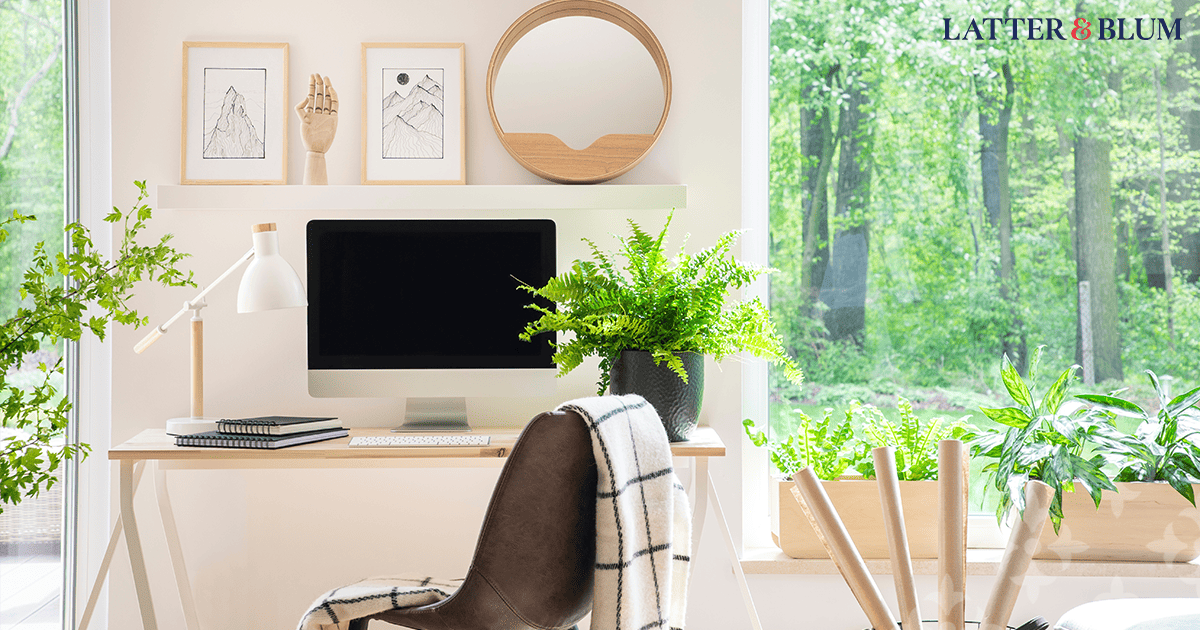 Best Plants for Your Home Office Latter & Blum