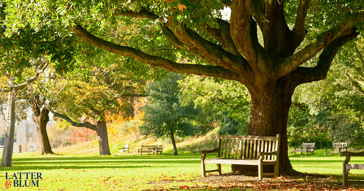 Stop By These Baton Rouge Parks This Spring Latter Blum stop-by-these-baton-rouge-parks-this-spring-latter-blum