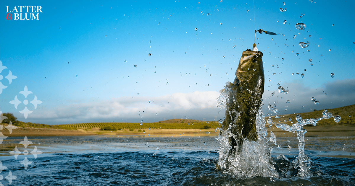 Types of Fish You Can Catch in Houma Latter & Blum
