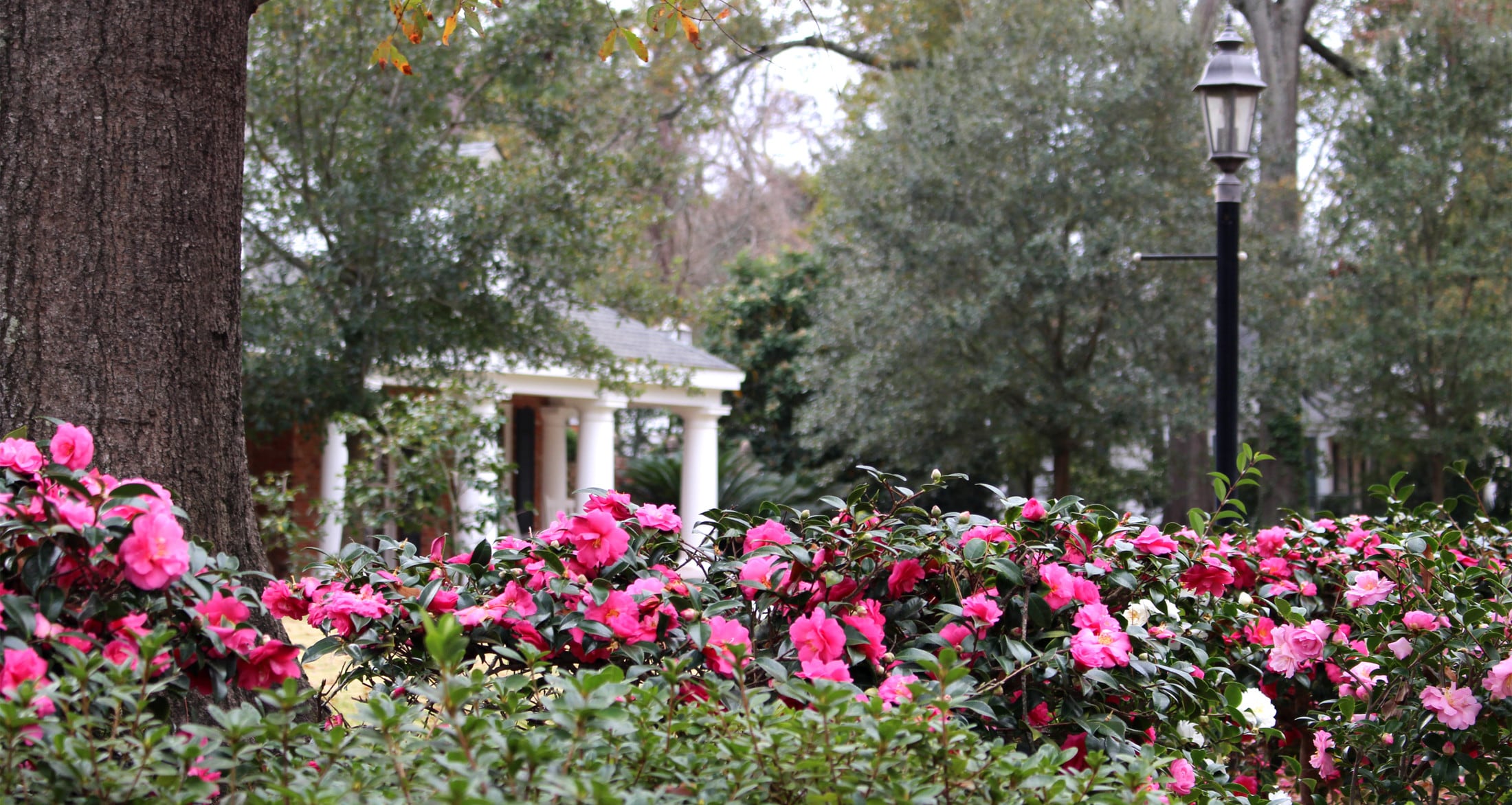 Alexandria, Louisiana Community Information