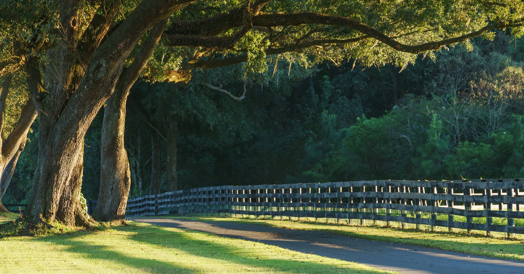 Fort Polk / DeRidder / Leesville, Louisiana Community Information