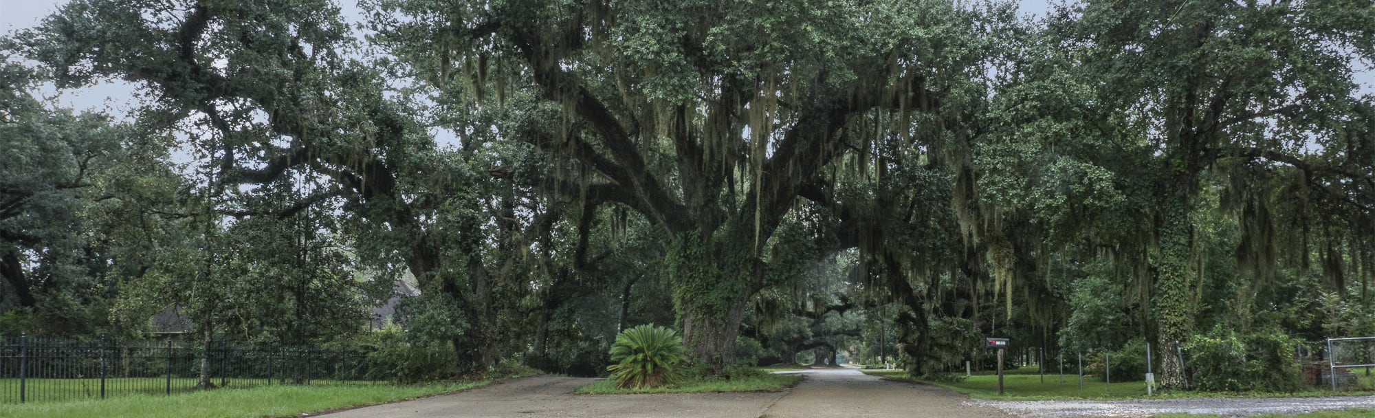 LA Community Information