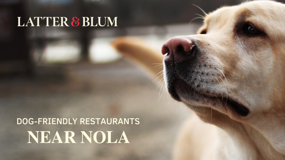 dog friendly places in NOLA